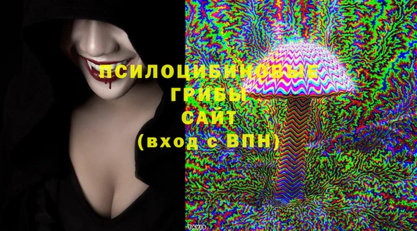 кокс Алексин