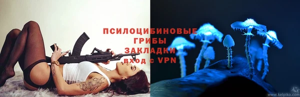 круглые Абаза