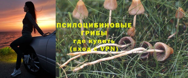ешки Абдулино